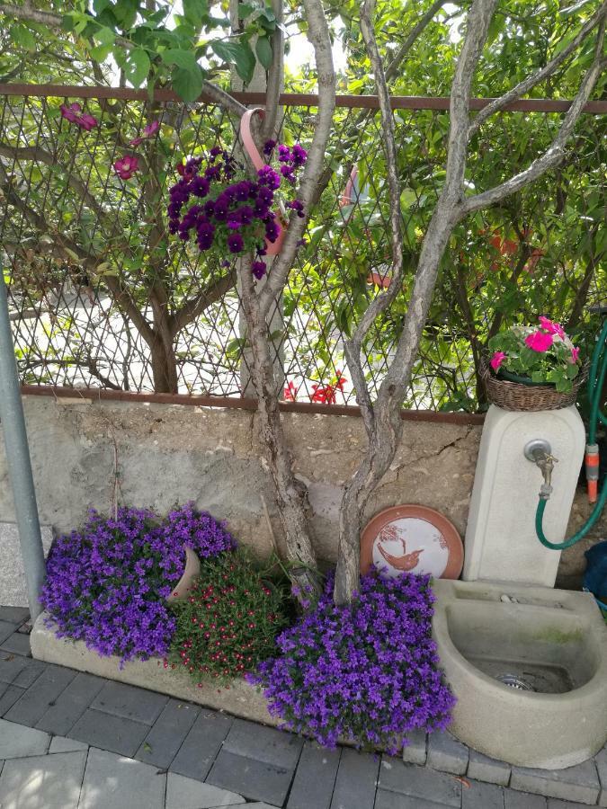 Apartment Vesna ザダル エクステリア 写真